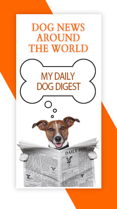 Pet service directory