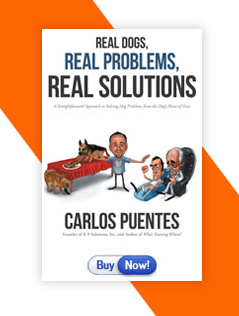 Real Dogs, Real Problems, Real Solutions 