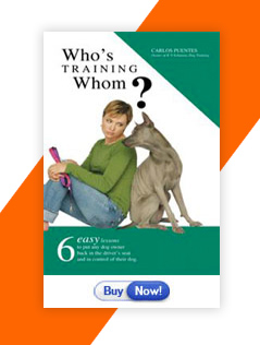 Who's Training Whom?